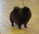 DSC01350.JPG