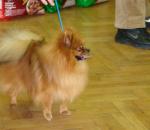DSC01392.JPG