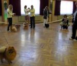 SDC10908.JPG
