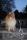 [field_typ-term-raw] - [title-raw]